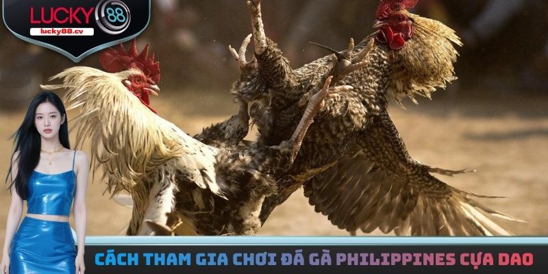 Đá Gà Philippines Cựa Dao - Giải Trí Với Bộ Môn Kịch Tính