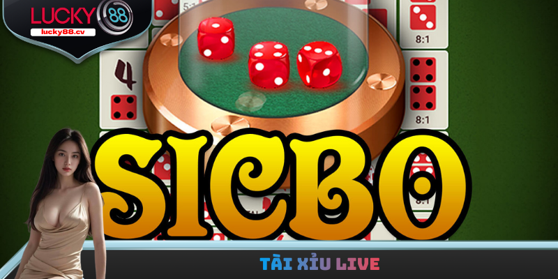Tài Xỉu Live - Bật Mí Những Mẹo Chơi Tài Xỉu Đỉnh Cao