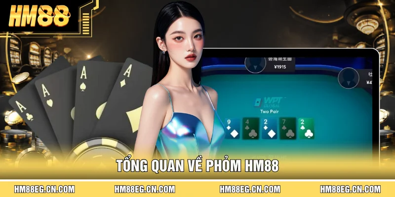 Phỏm Hm88 | Hướng Dẫn Chơi Hay, Dễ Hiểu Cho Tân Thủ 2026