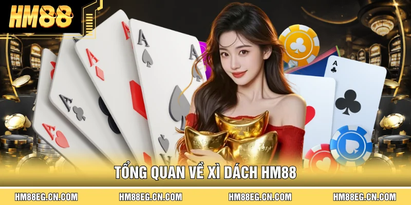 Xì Dách Hm88 - Luật Chơi, Mẹo Chơi Luôn Thắng Từ Chuyên Gia
